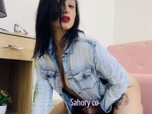 Sahory_co