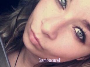 Sambucacat