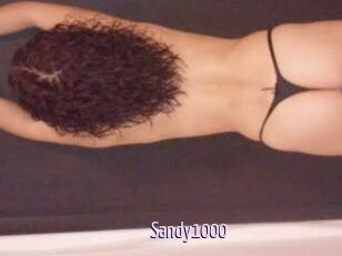 Sandy1000