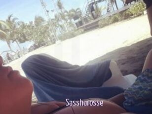 Sassharosse