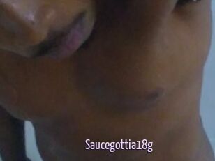 Saucegottia18g