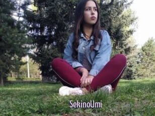 SekinoUmi