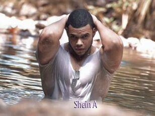 Shein_A