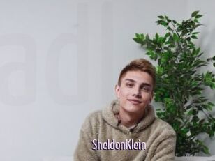 SheldonKlein