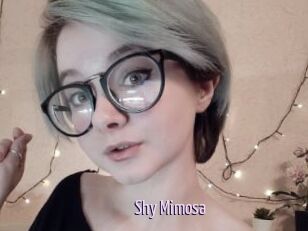 Shy_Mimosa