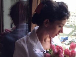 Silkworm