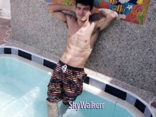 SkyWalkerr