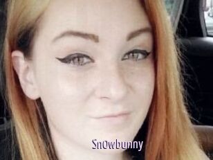 Sn0wbunny