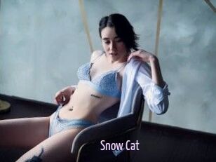 Snow_Cat