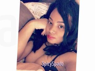 SpicySpade