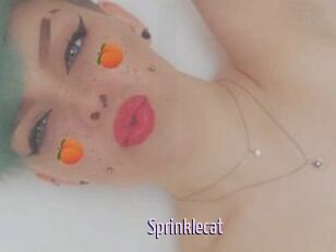 Sprinklecat