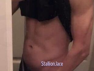 StallionJace