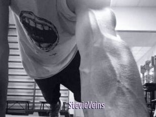 StevieVeins
