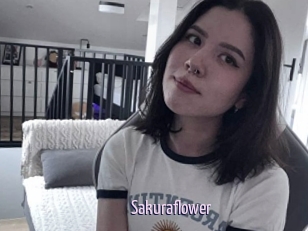 Sakuraflower