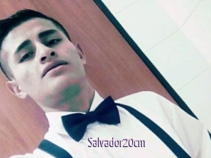 Salvador20cm