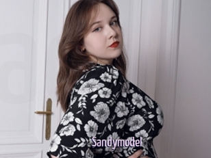 Sandymodel