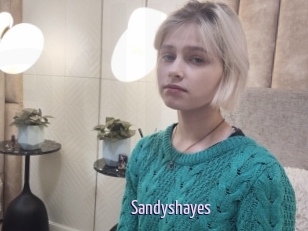 Sandyshayes