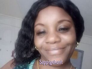 Sappigekont