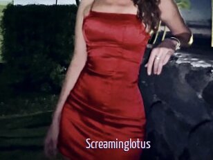 Screaminglotus