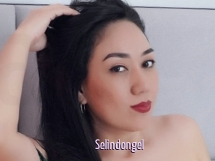Selindongel