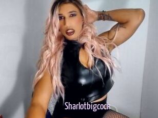 Sharlotbigcock