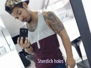 Sherdick_holes