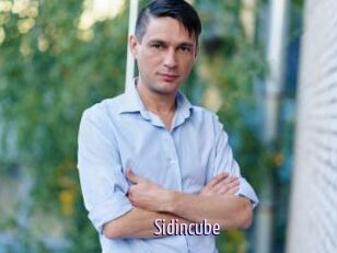 Sid_incube