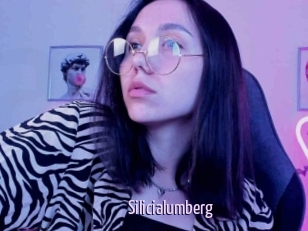 Silicialumberg
