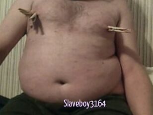 Slaveboy3164