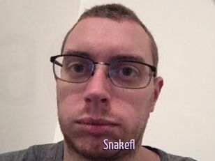 Snakefl