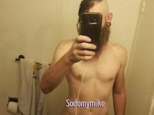 Sodomymike