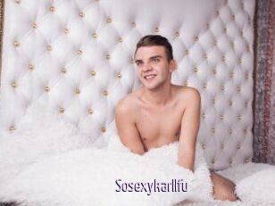 Sosexykarllfu