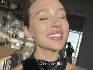 Stellaatkins