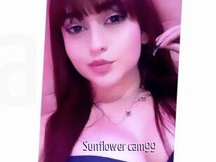 Sunflower_cam99