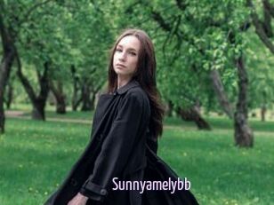 Sunnyamelybb