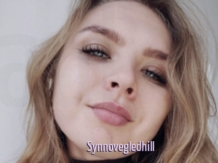 Synnovegledhill