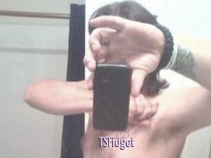 TSFidget