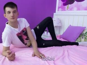 TadRaid