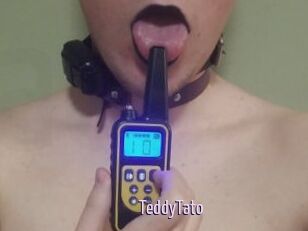 TeddyTato