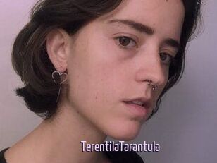 TerentilaTarantula