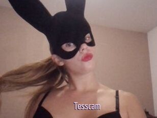 Tesscam
