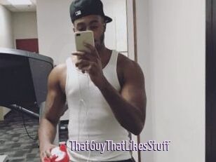 ThatGuyThatLikesStuff