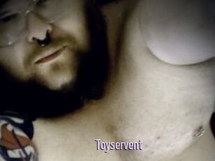 Toyservent