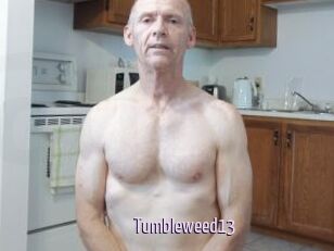 Tumbleweed13