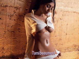 Tamibeaumont