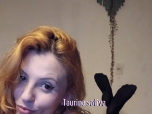 Taurina_sativa