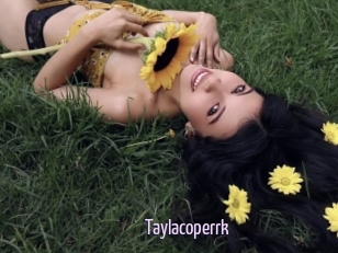 Taylacoperrk