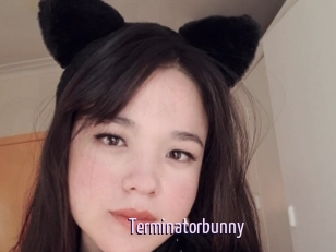 Terminatorbunny