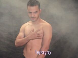 Teylorgrey