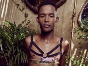 Teylorray